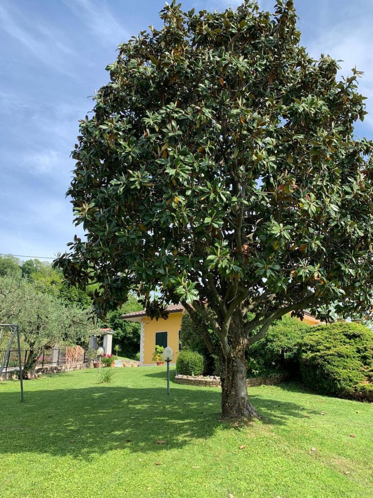 Poli Villa's *
